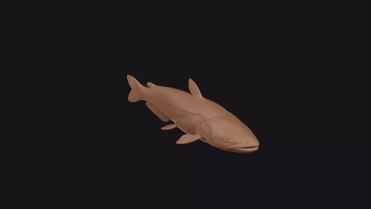catfish 3d model 3D print model