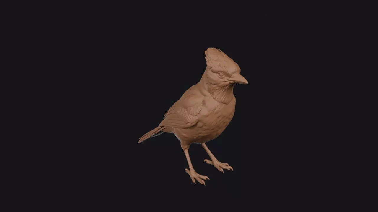 blue jay 3d model 3D print model