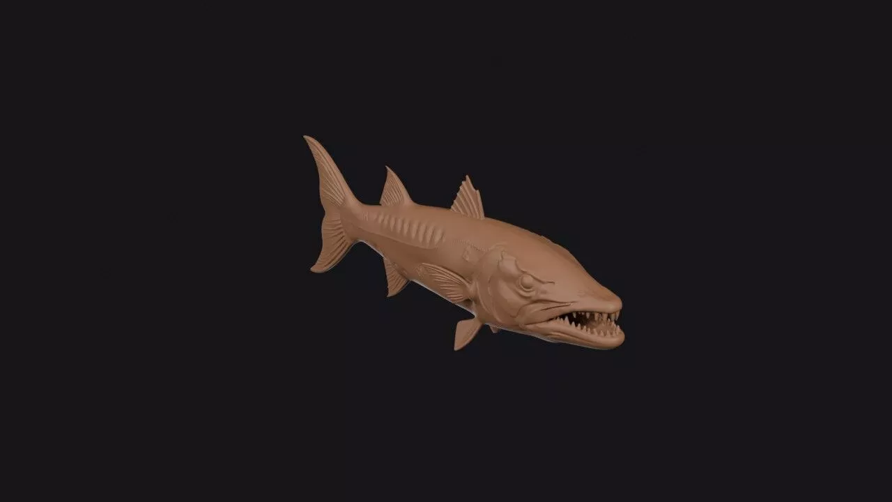 barracuda 3d model 3D print model