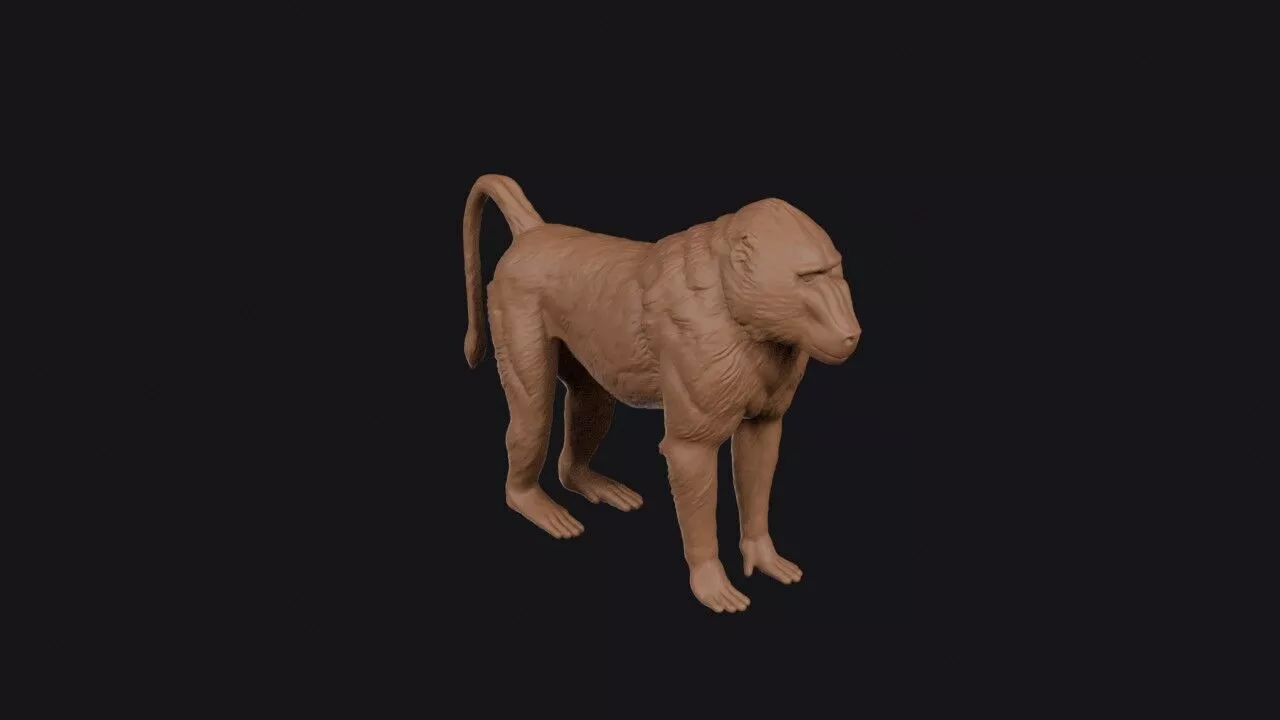 baboon 3d model 3D print model