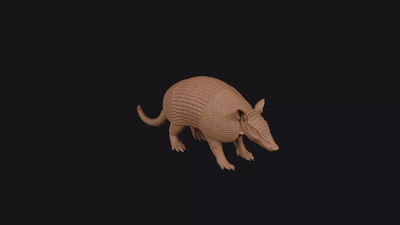armadillo 3d model 3D print model