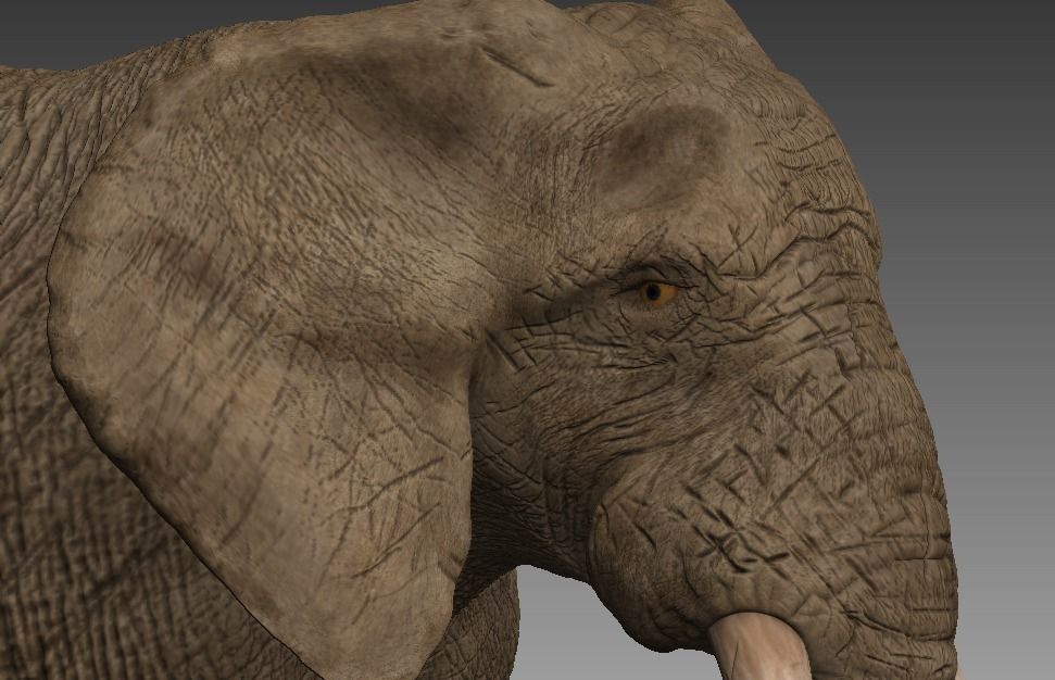 Brown Elephant Low-poly 3D model_4