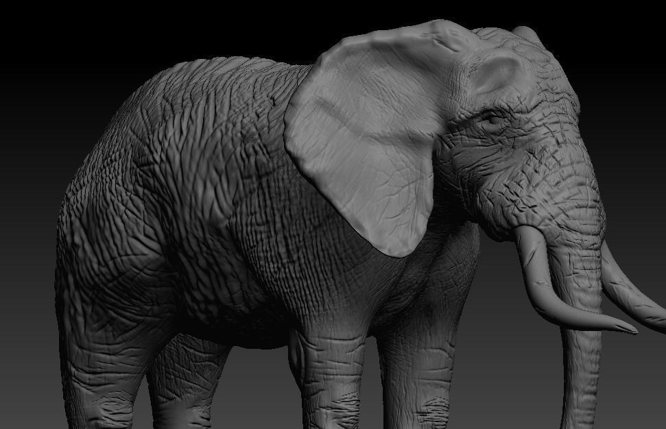 Brown Elephant Low-poly 3D model_11