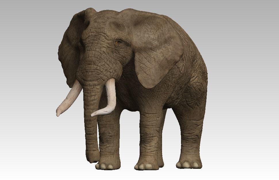 Brown Elephant Low-poly 3D model_0
