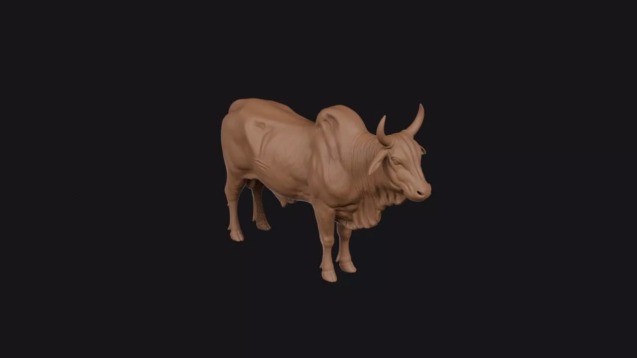 Zebu 3D Model 3D print model