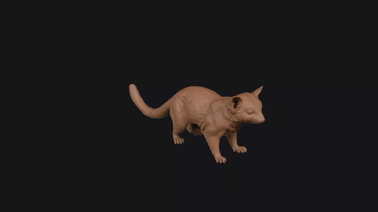 Sugar Glider 3D print model