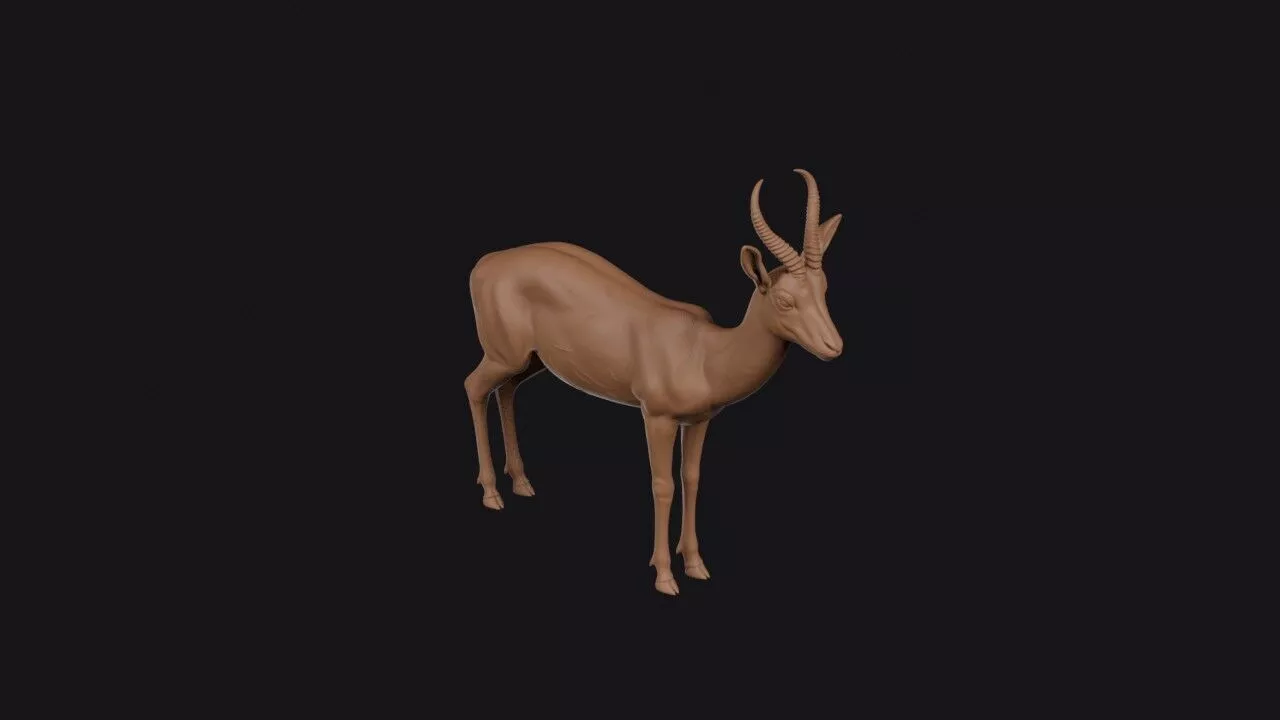 Springbok 3D print model