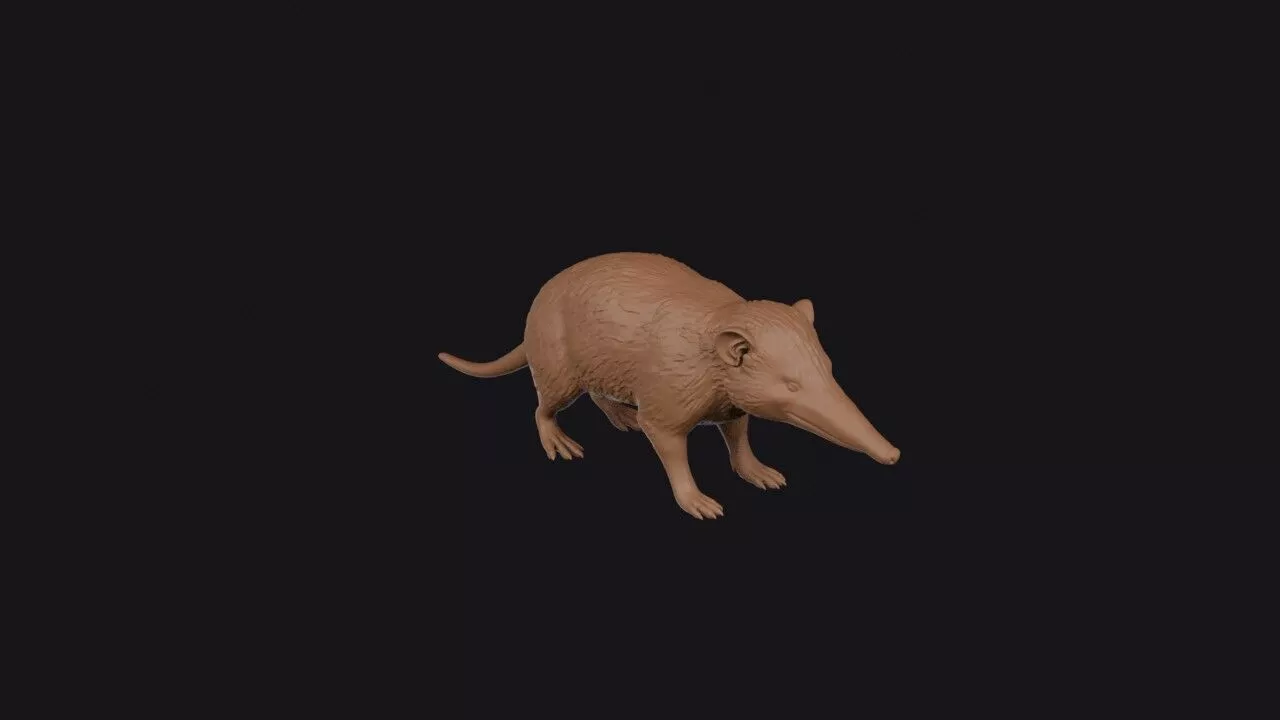 Solenodon 3D print model
