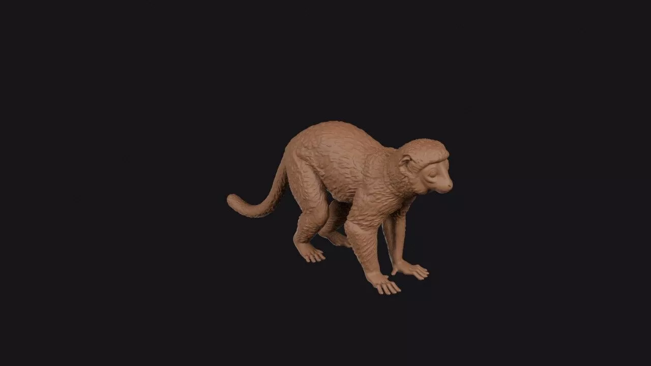 Sifaka 3D print model