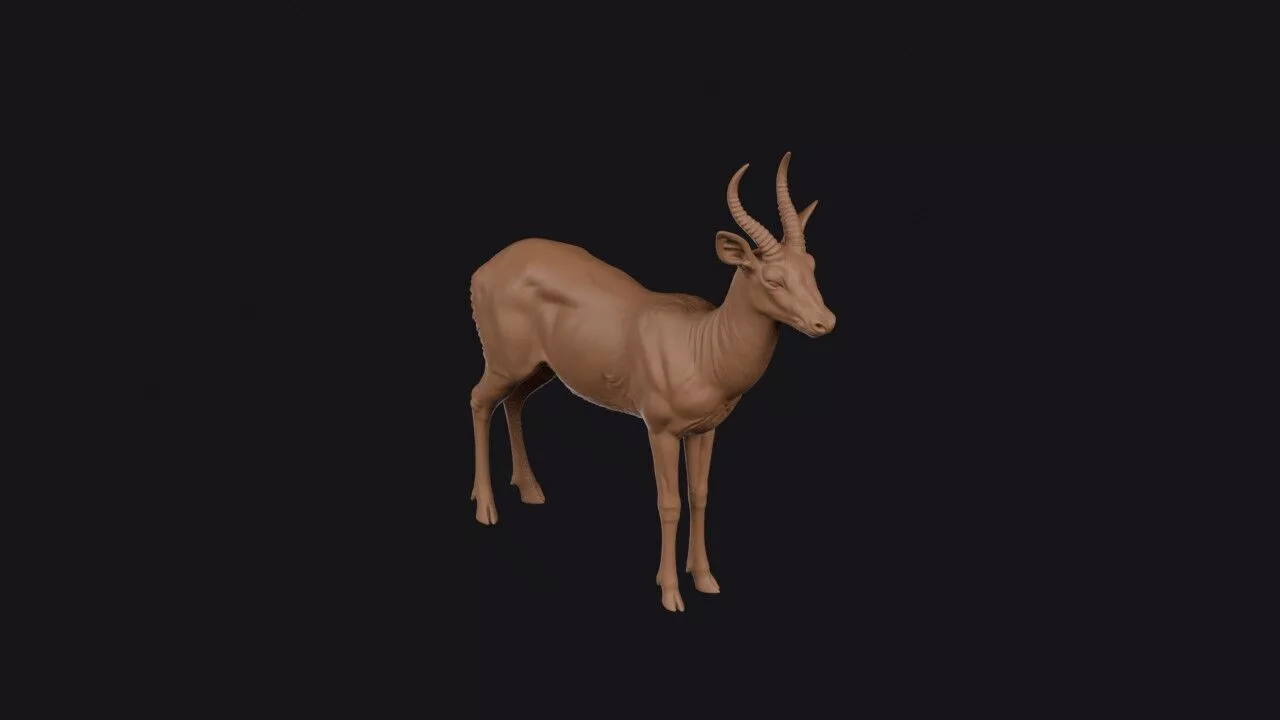 Reedbuck 3D print model