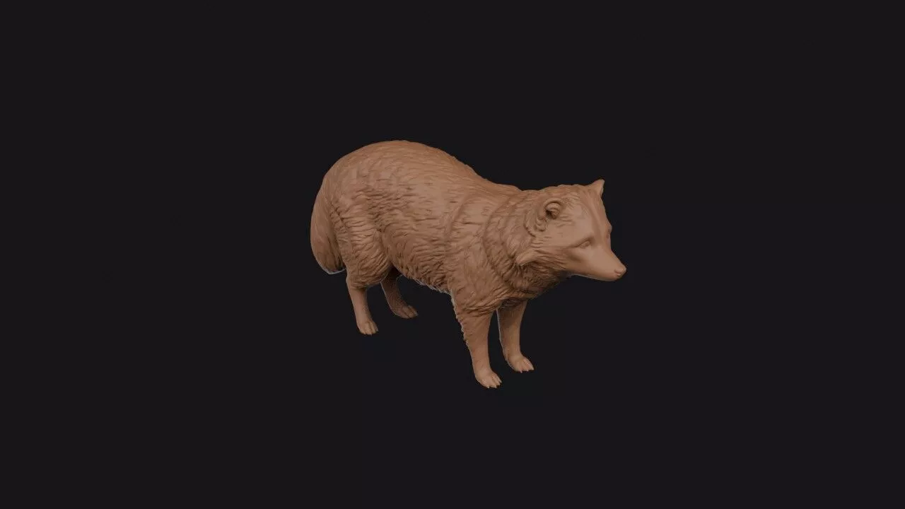 Raccoon Dog 3D print model