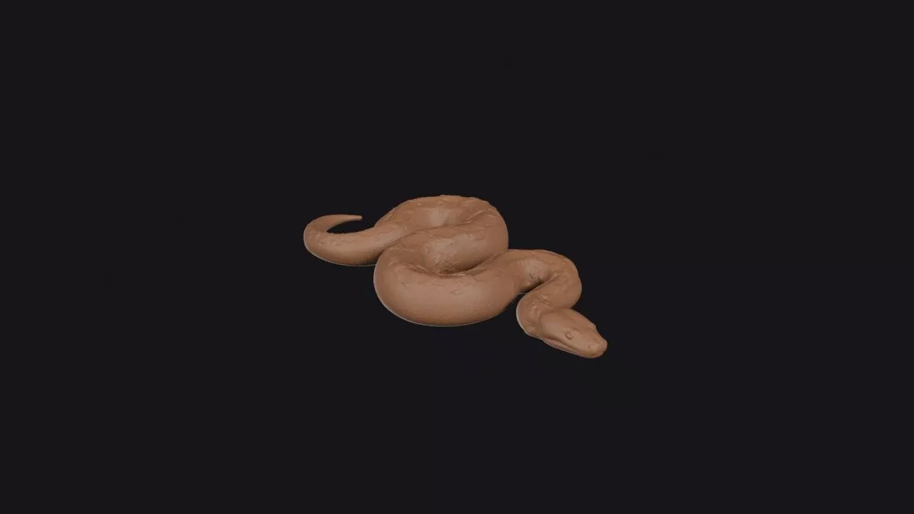 Python 3D print model
