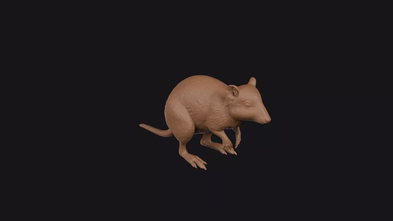 Potoroo 3D print model