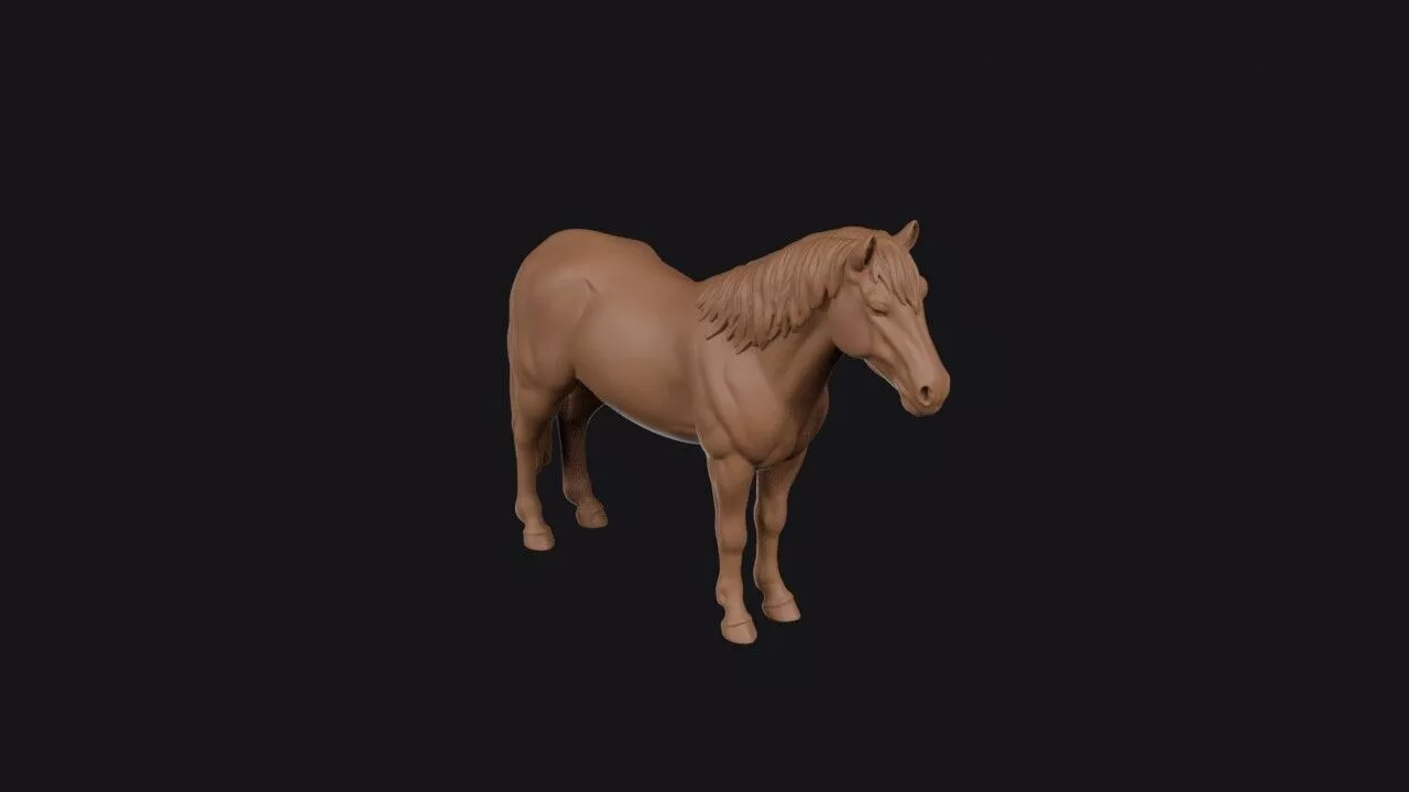 Pony 3D Model 3D print model
