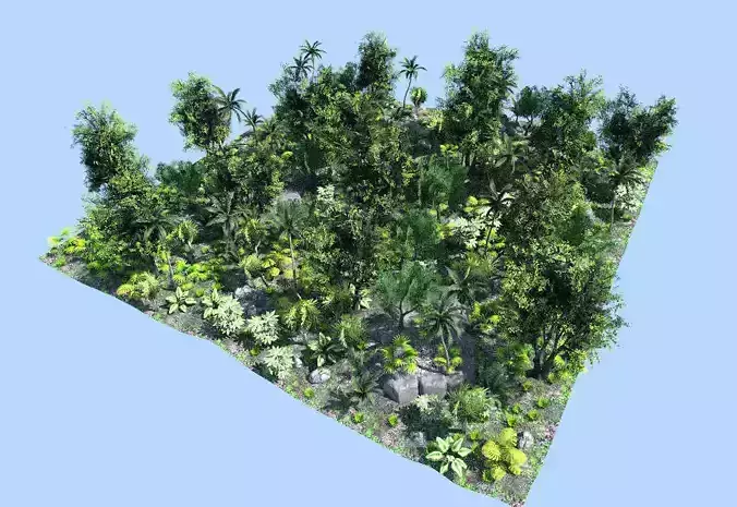 deep jungle scene Low-poly 3D model