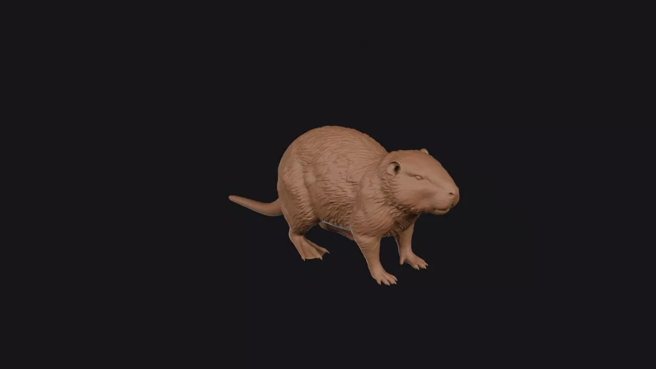 Nutria 3D print model