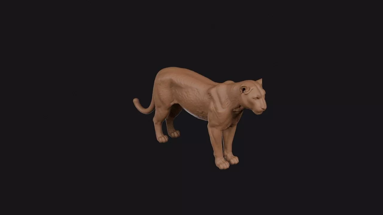 Leopard 3D print model