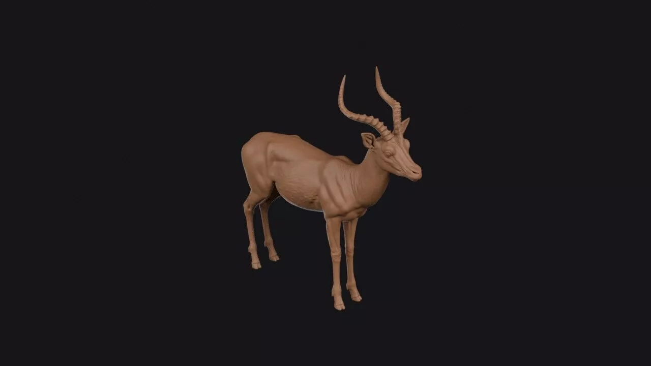 Impala 3D print model