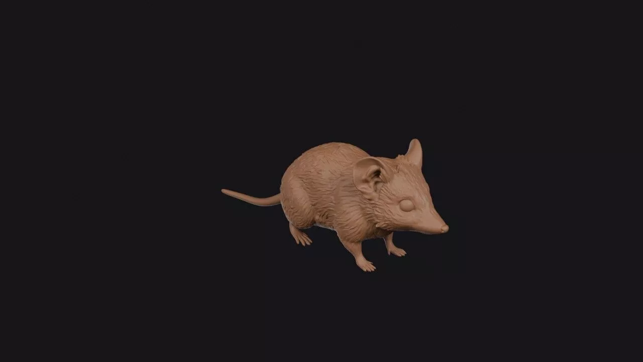 Dunnart 3D print model