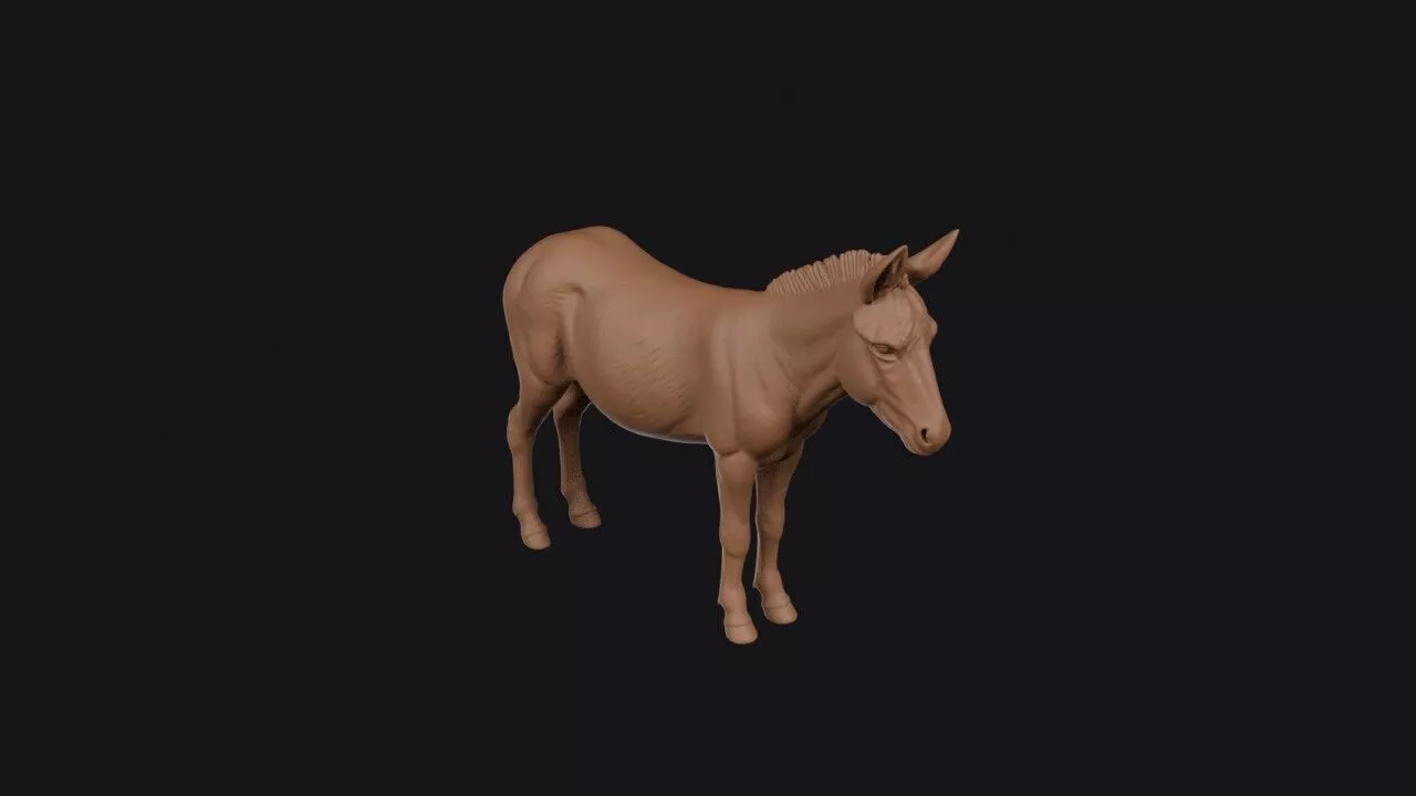 Donkey 3D print model