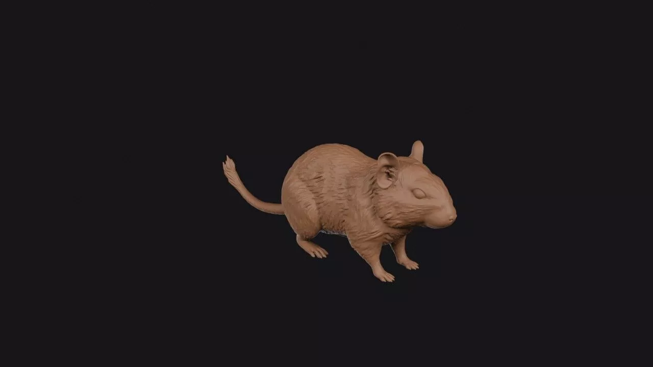 Degu 3D Model 3D print model