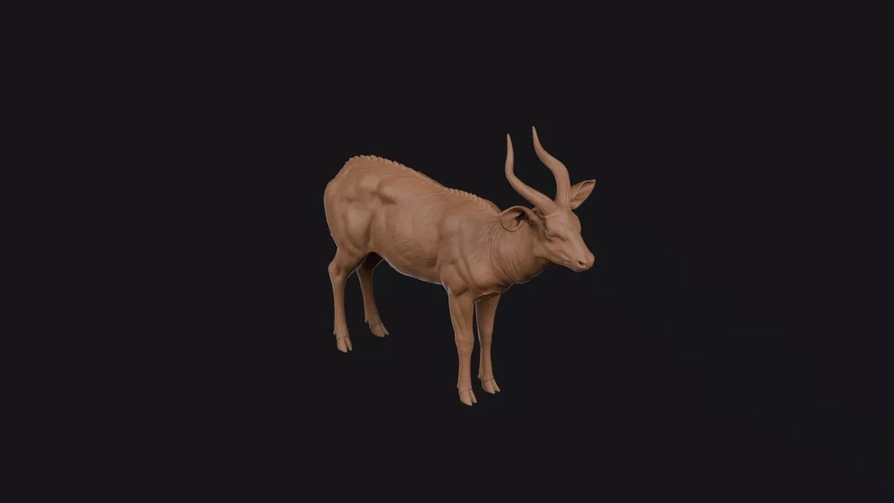 Bongo 3D print model