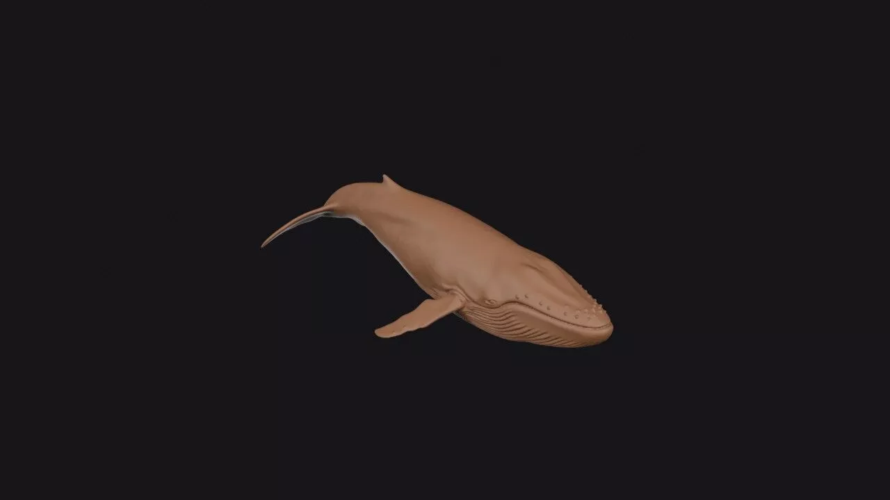 Blue Whale 3D print model