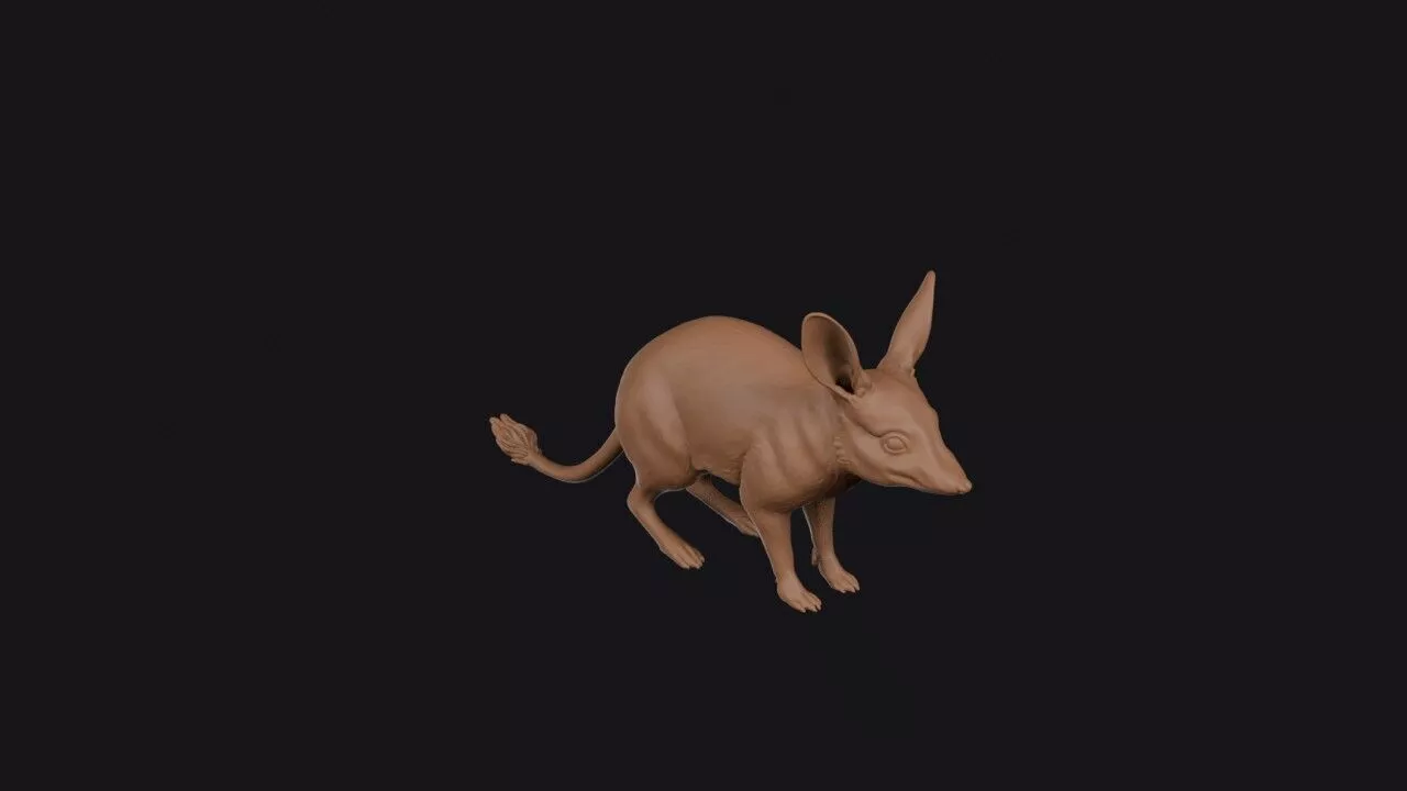 Bilby 3D print model