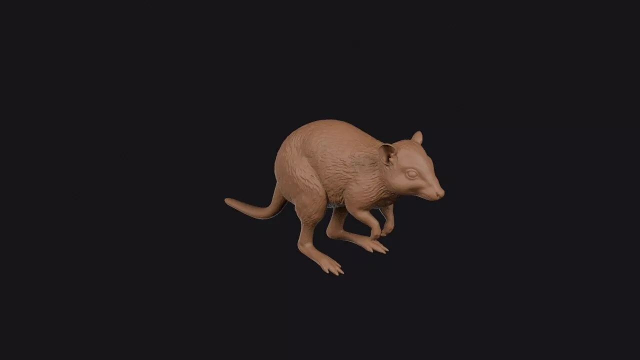 Bettong 3D print model