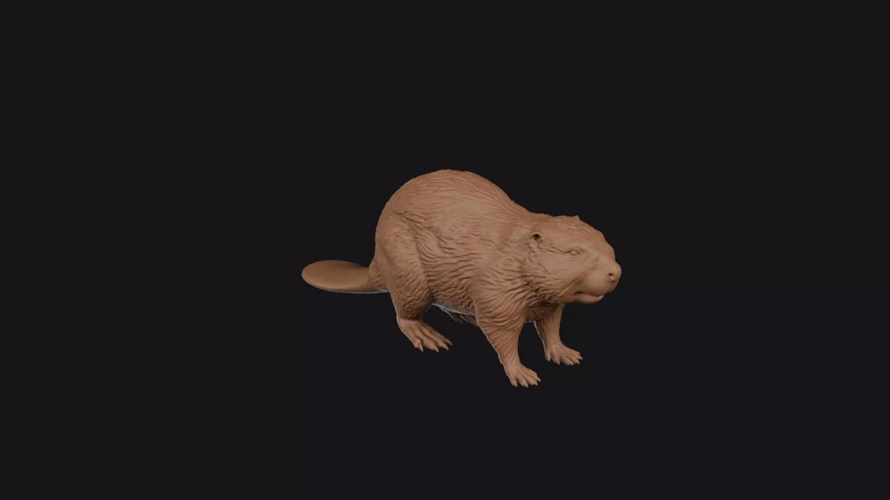Beaver 3D print model