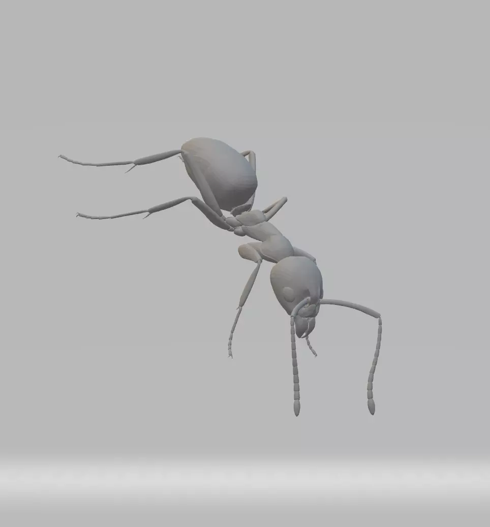 Ant 3D Model 3D print model