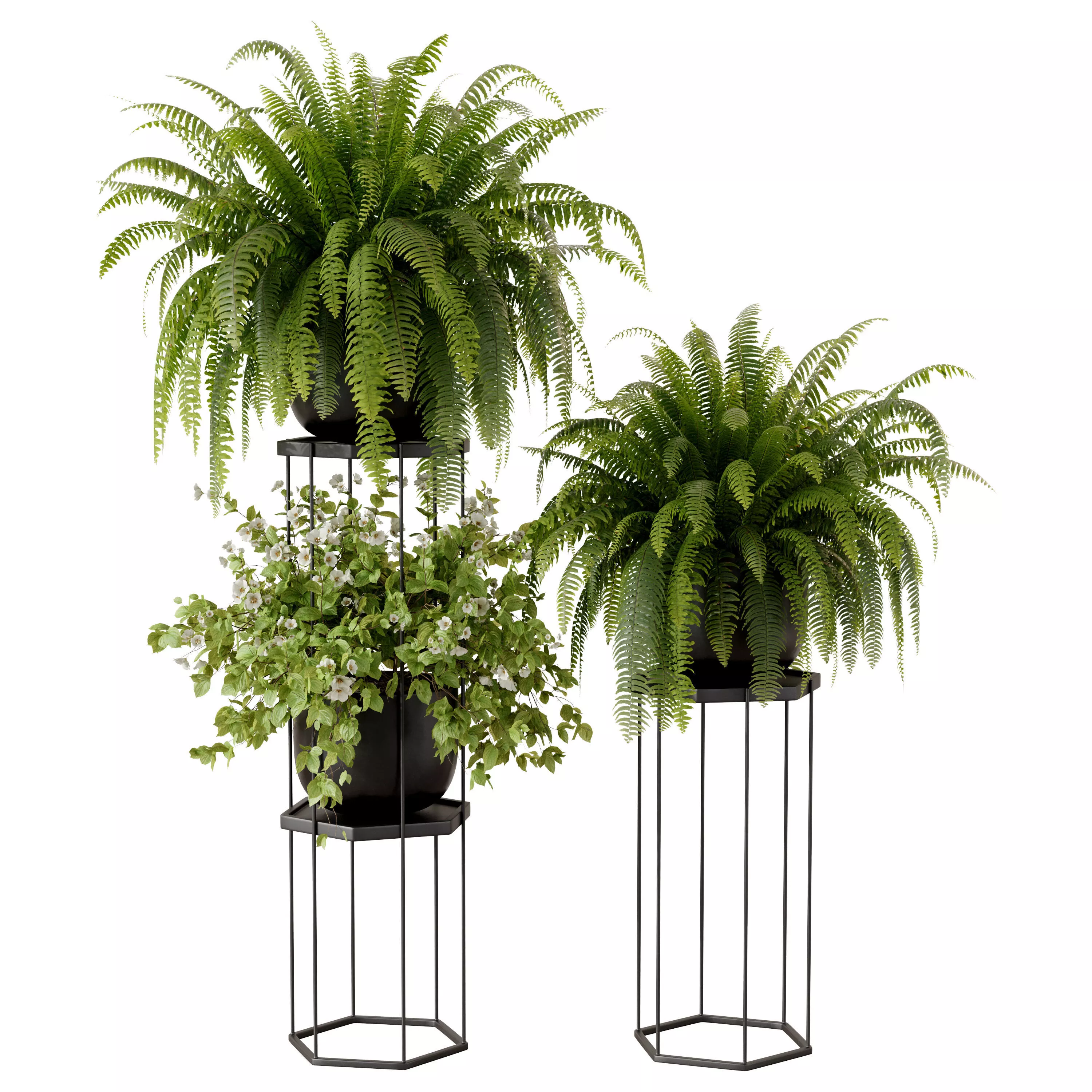 Modern Metal Plant Stand with Fern and Trailing Plant 3D model