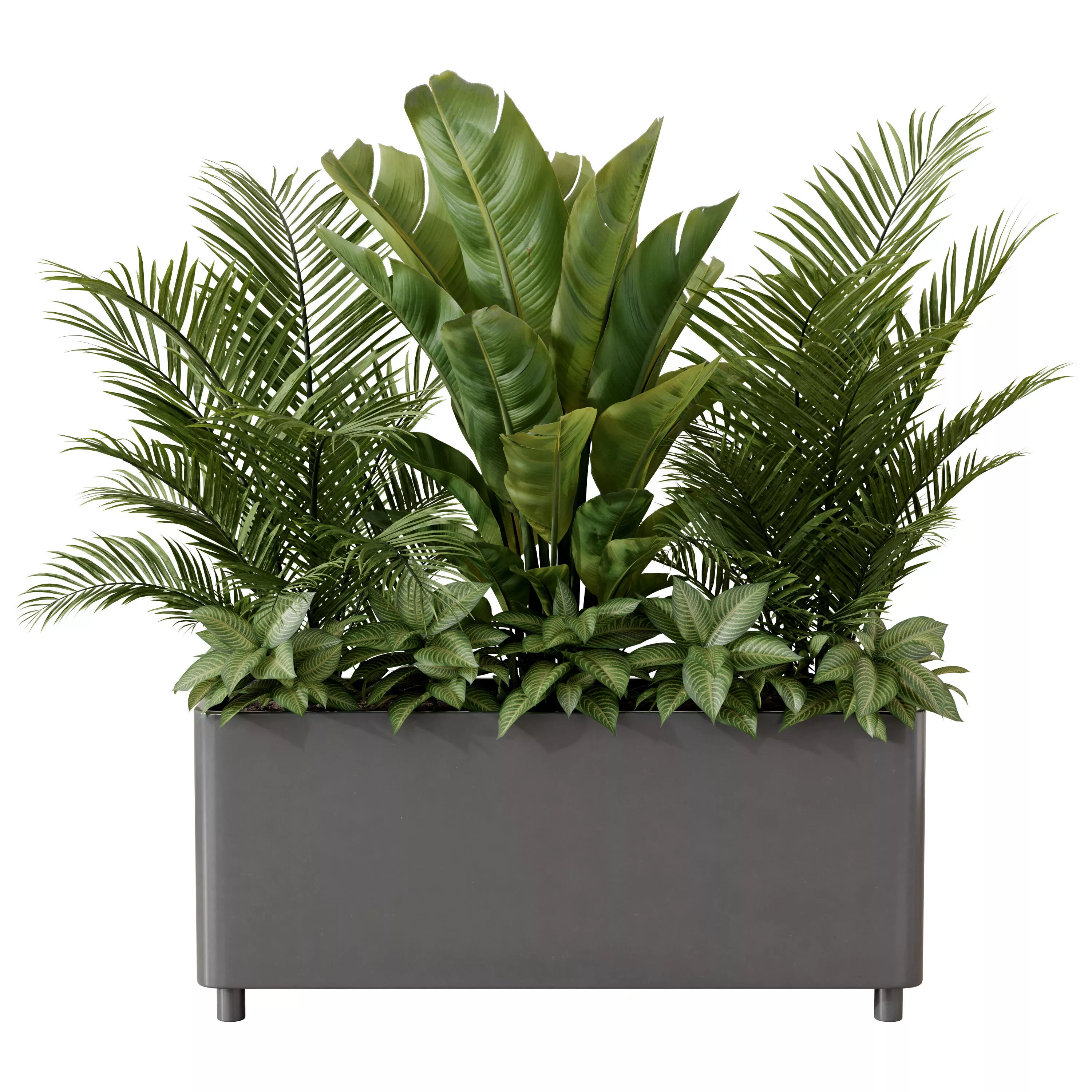 Rectangular Planter with Tropical Plants 3D model
