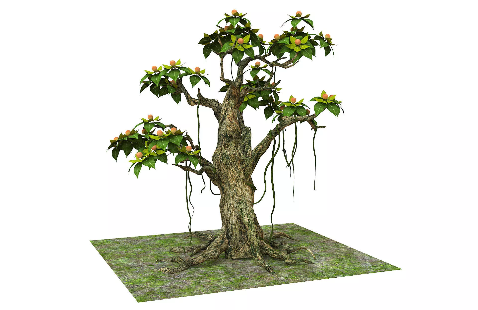Cartoon fruit tree Low-poly 3D model