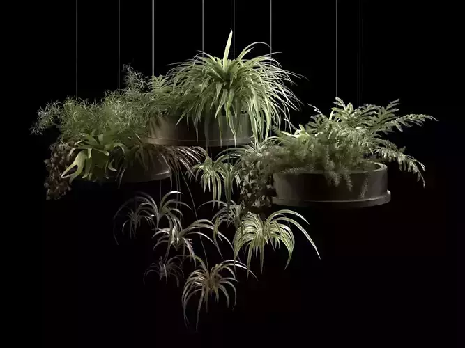 Hanging Pots with Plants 2