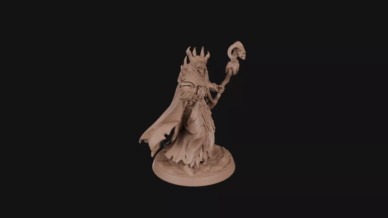 Skullcrowned Necromancer 3D print model