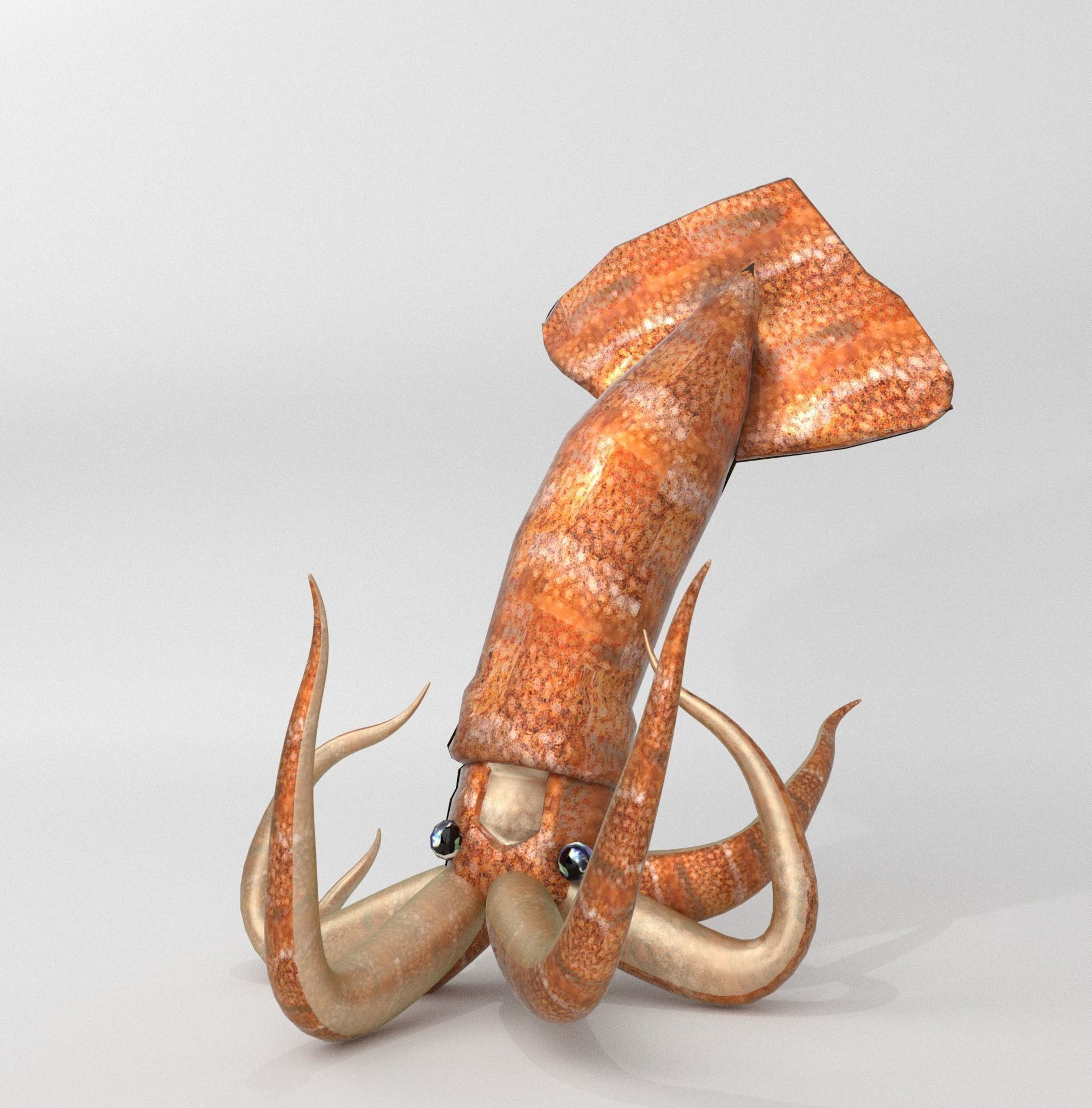 Squid octopus Low-poly 3D model_1