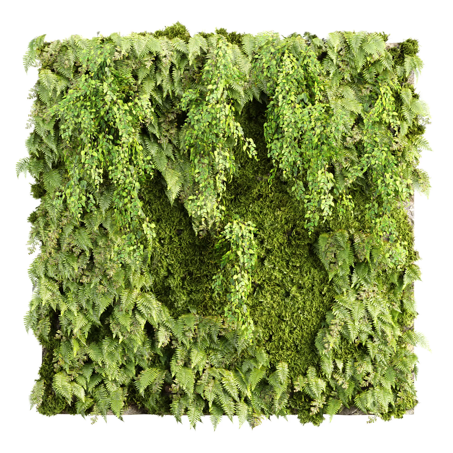 Green Wall 3D Model 523 3D Plant Model 3D model