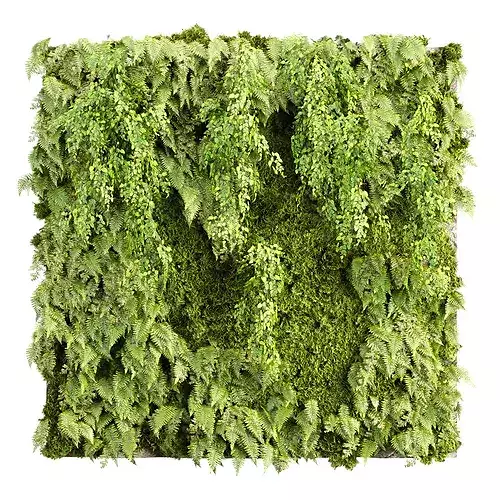 Green Wall 3D Model 523 3D Plant Model