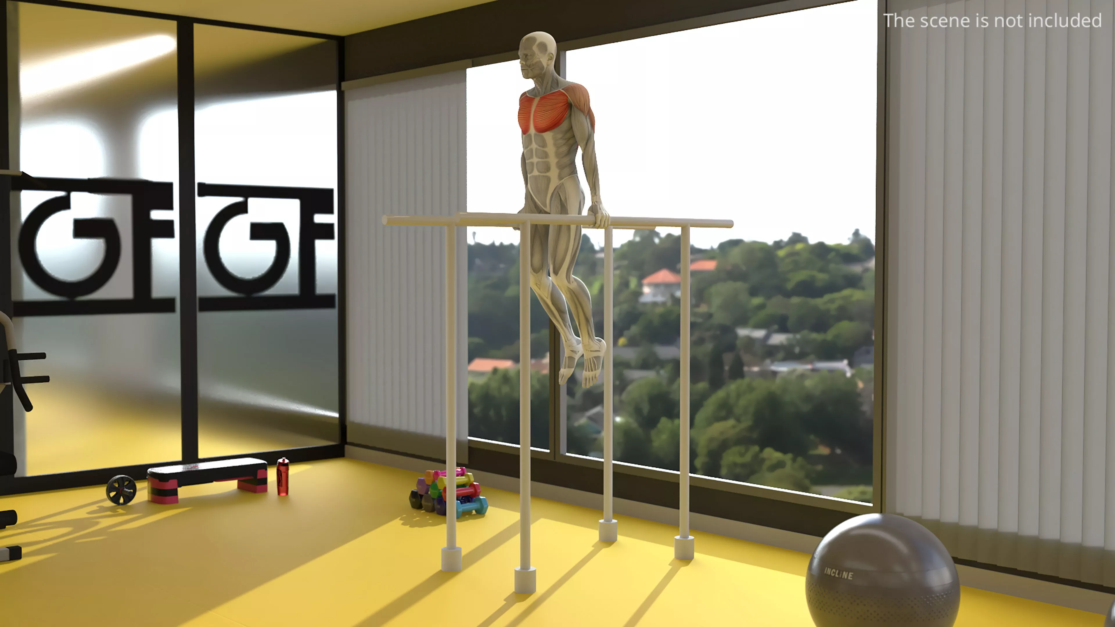 Male Muscular System Chest Dip Animated Rigged for Cinema 4D 3D model