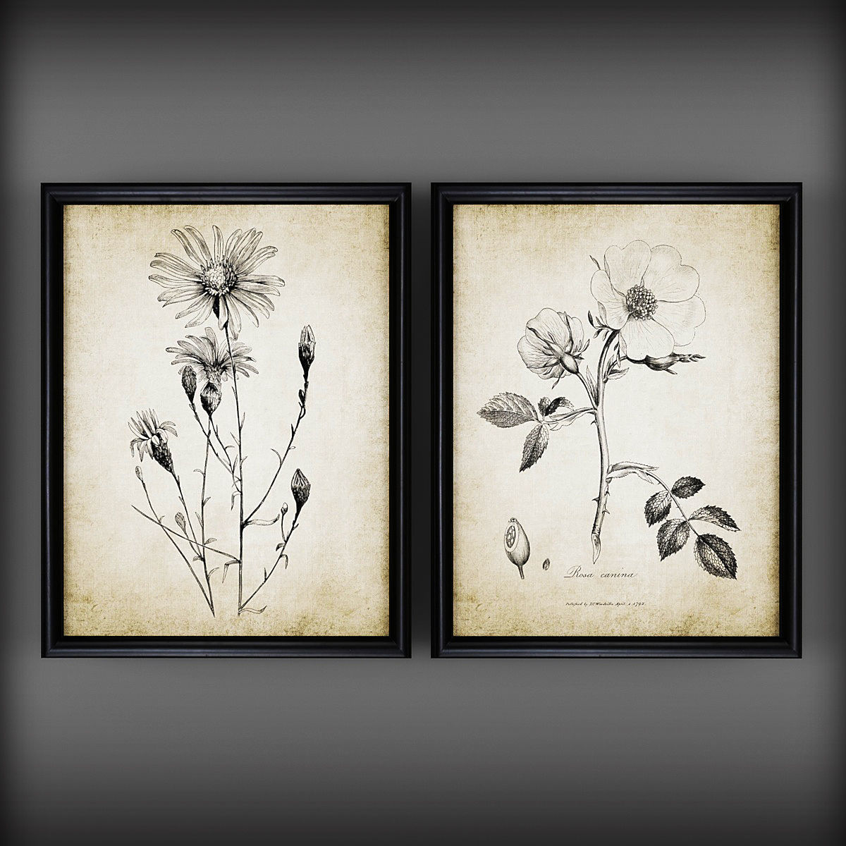 Picture Frames Low-poly 3D model_2