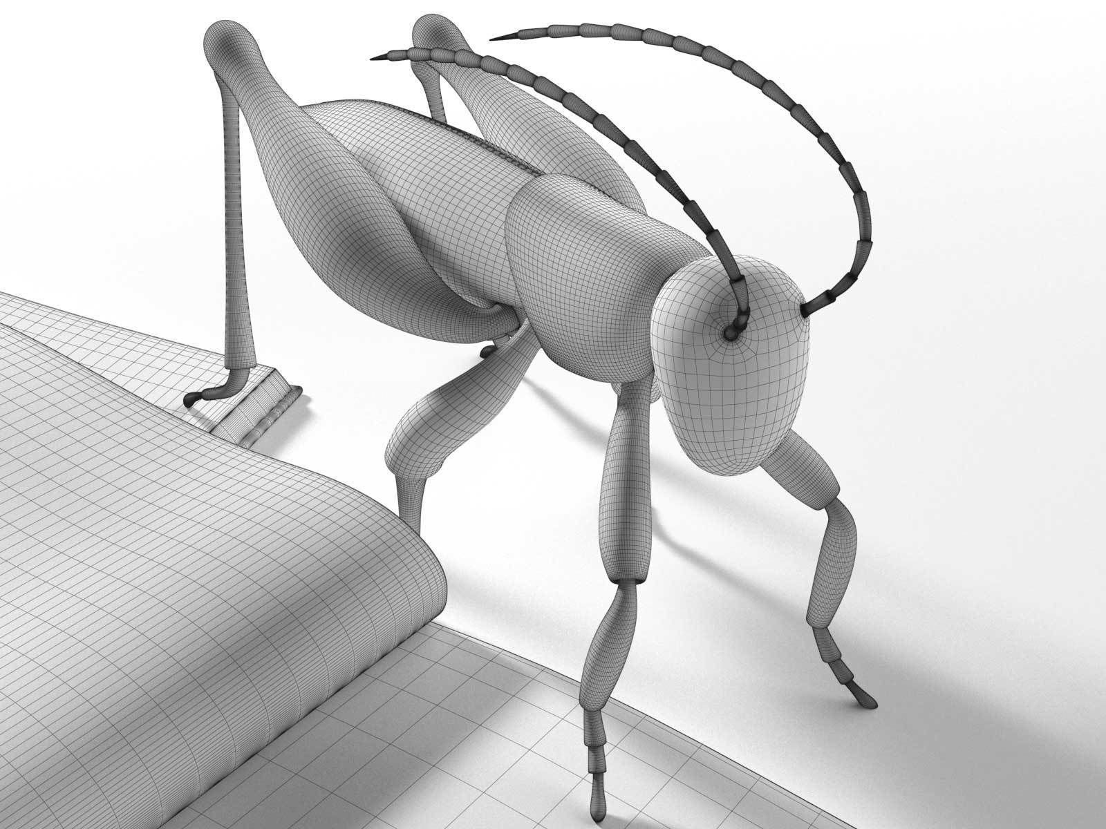 Grasshopper Photos and Books 3D model_2