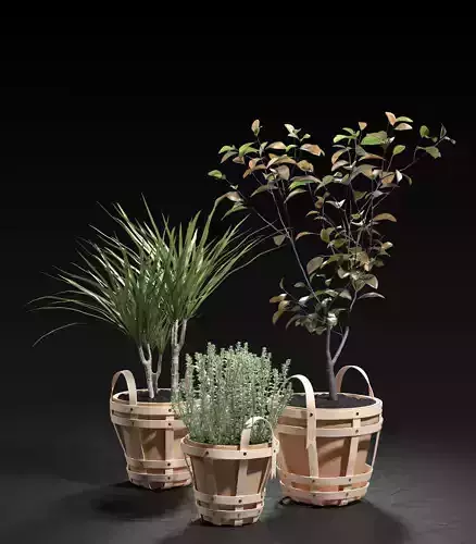 Strap Planters 2