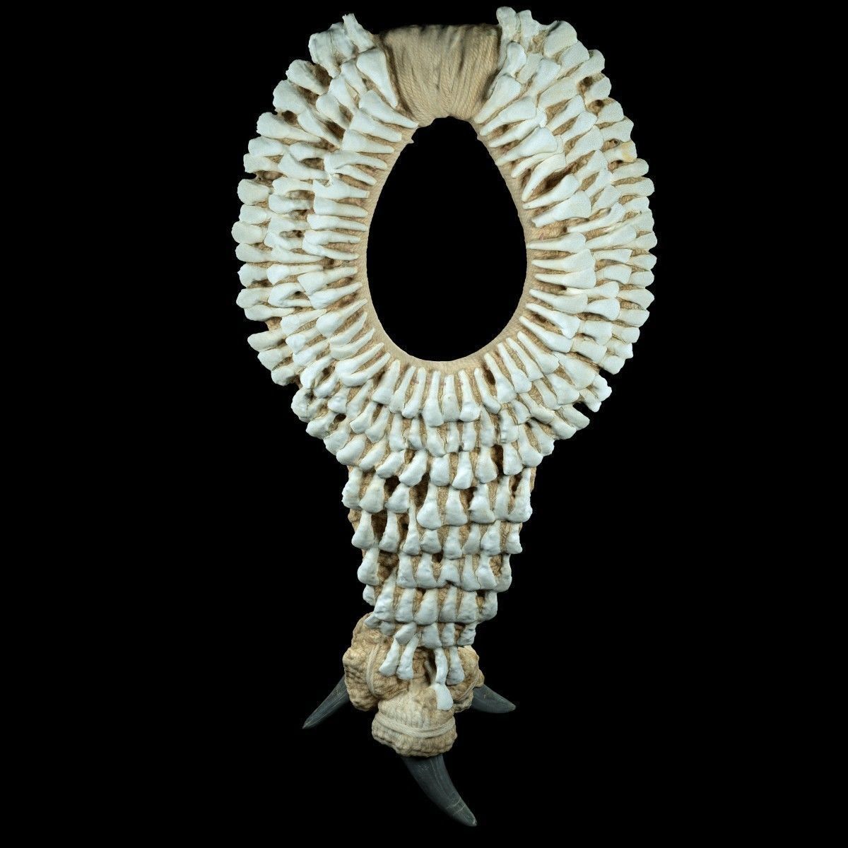 Tooth Necklace Low-poly 3D model_4