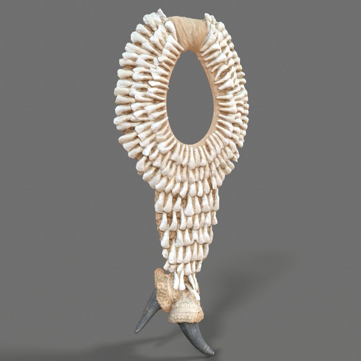 Tooth Necklace Low-poly 3D model_5