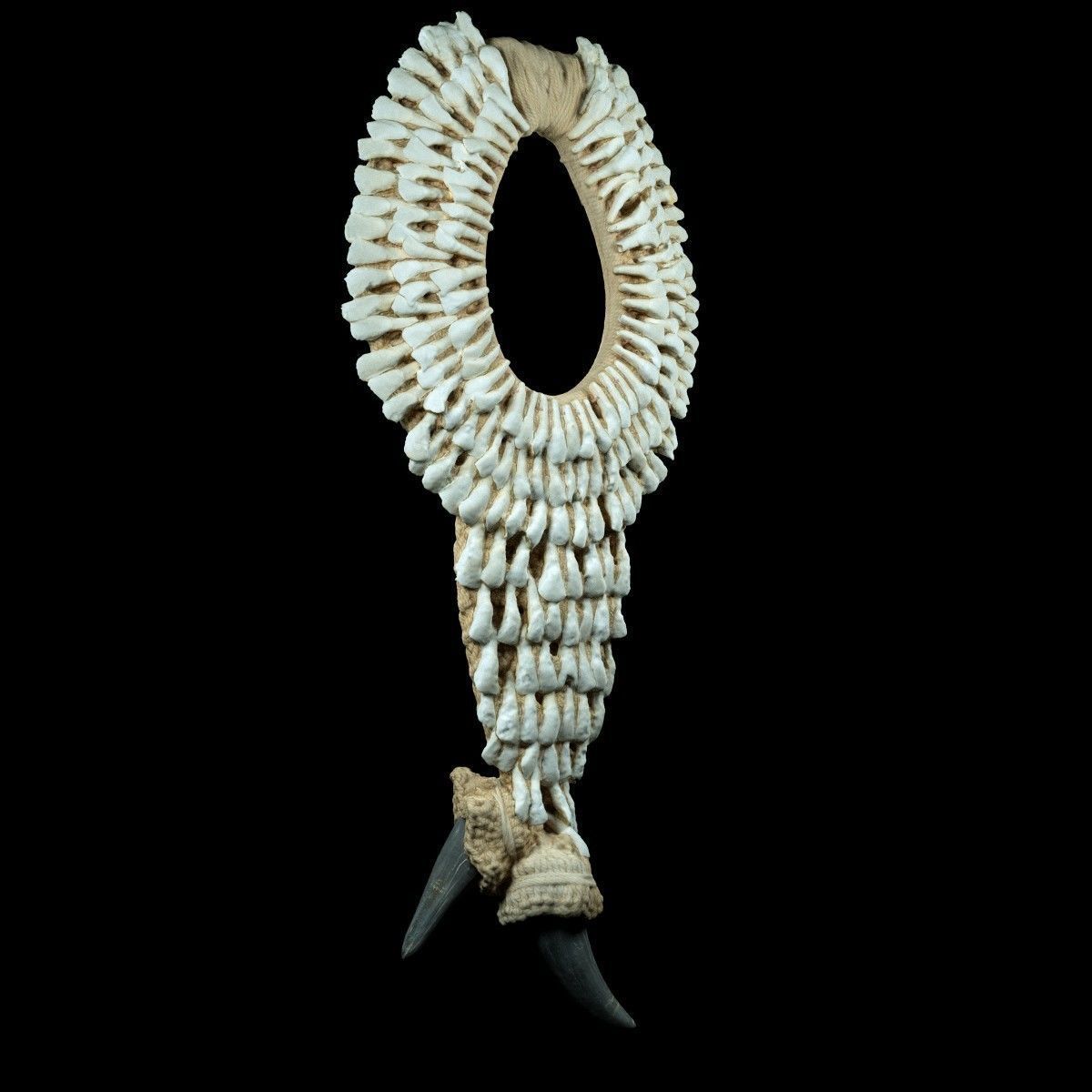 Tooth Necklace Low-poly 3D model_3