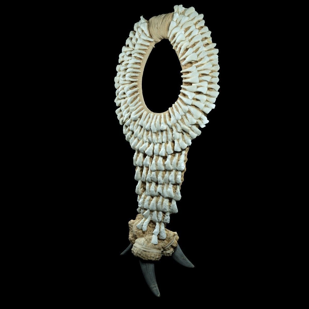 Tooth Necklace Low-poly 3D model_2