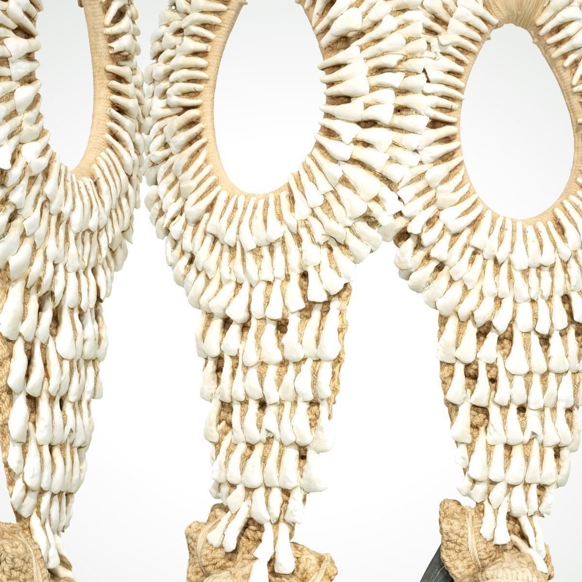 Tooth Necklace Low-poly 3D model_9