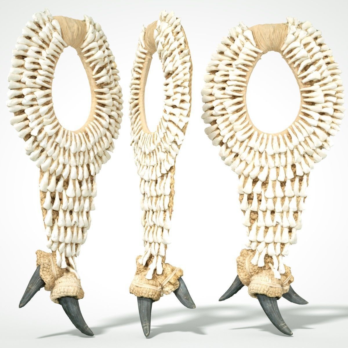 Tooth Necklace Low-poly 3D model_10