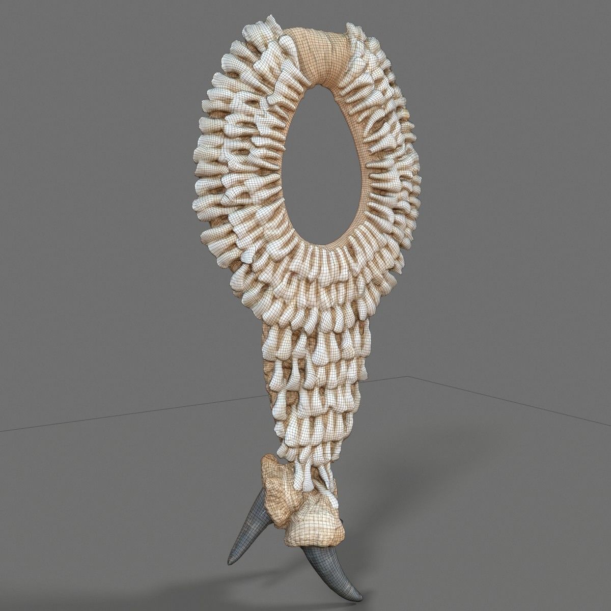 Tooth Necklace Low-poly 3D model_7